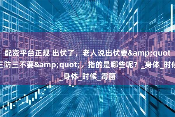 配资平台正规 出伏了，老人说出伏要"三做三防三不要"，指的是哪些呢？_身体_时候_霉菌